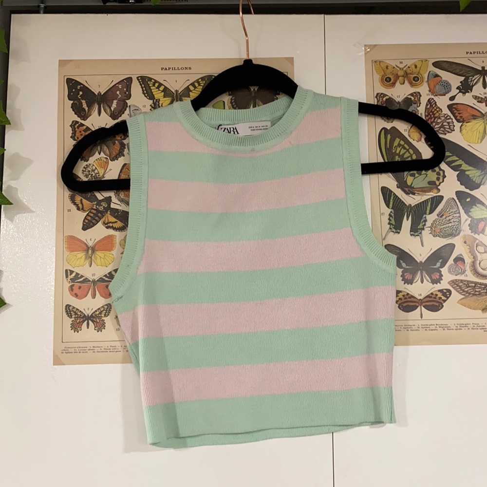 Zara Nwt Pastel Stripe Cropped Knit top
